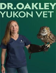 星际叛将欧西里斯之子