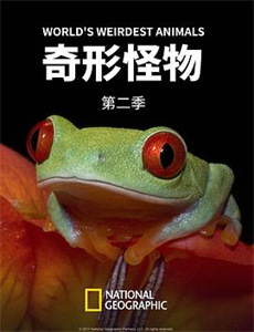 致我的陌生恋人