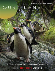 超级巡航:海上生活