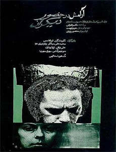 司婵婵的璀璨人生