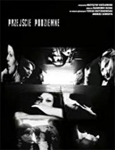 不留恋不沉迷姜小姐独美